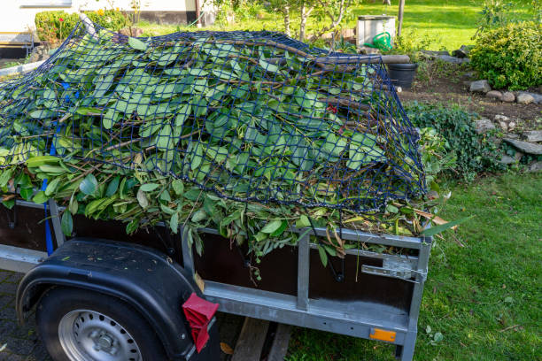 Best Appliance Removal  in Quinnesec, MI